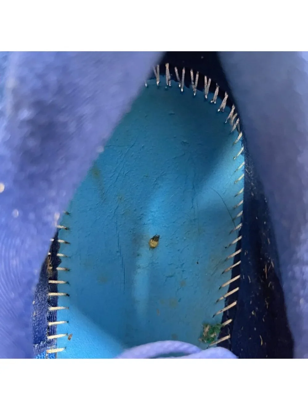 Brooks missing insoles